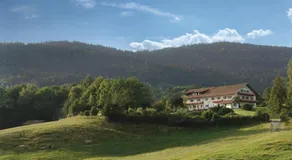 Chambre chez l'habitant conviviale et familiale avec terrasse et jardin | Vue montagne | Avec animaux admis - Image 5