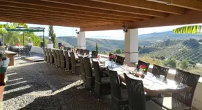 Castle Tower apartment PICASSO in rural holiday park - Image 3