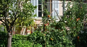 Les Passiflores - Image 4