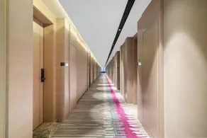 LAVANDN - Image 4