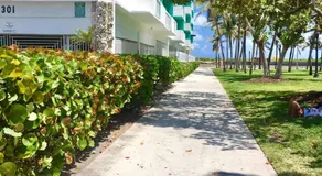 Ocean Walk by Miami Ambassadors - Image 5