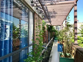 Kiara's Home - Image 5