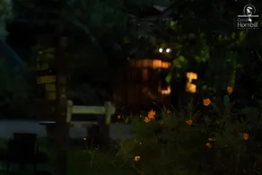 Great Hornbill Resorts - Image 2