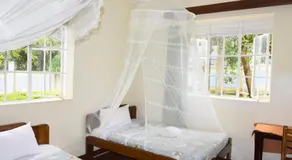 Nice Stay Ug - Image 2