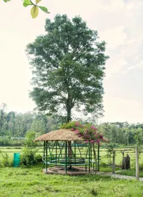 Vanatheeram Resorts Kattikulam Tholppety Wayanad - Image 2