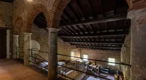 Frantoio Del Moscatello - Image 4