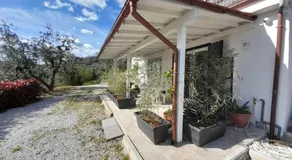 Il Cedro - Image 3