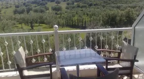 Bella Grecia - Image 3