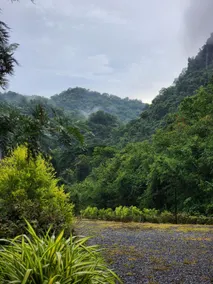 A2 at Forest Khaoyai - Image 5