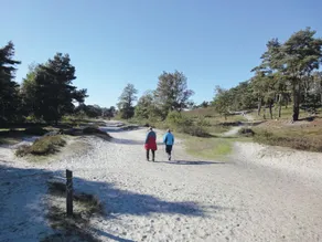 Comfortable chalet with microwave near Brunssummerheide - Image 3