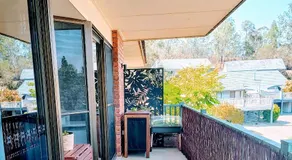 Three Palms - Image 3