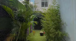 Casa palmera - Image 2