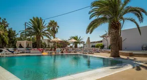 Noufaro - Image 5