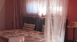 Toko-Eco-Lodge, Kamanjab - Image 5