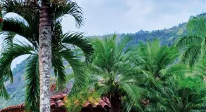 Finca Rancho Verde - Image 4
