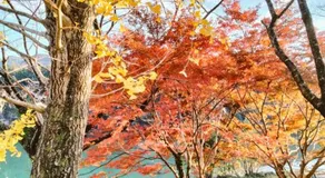 民泊ゆとろぎ - Image 4
