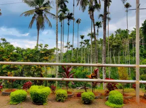Kudil Homestay - Rustic by Design Homely by Nature - Image 5