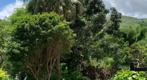 Pousada Quinta de Areal - Image 5