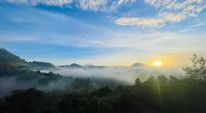 Scenic View - Ella - Image 5