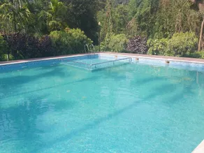 Lazo Areca Resort , Coorg - Image 4