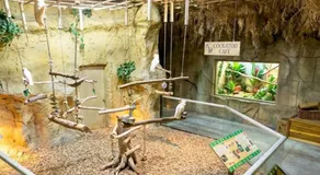 Smith Creek Resort - WaterPark, Lazy River, Pickle Ball, Heated Indoor Pool, Hot Tub - Image 5