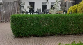 B&B t'Brocantje - Image 5