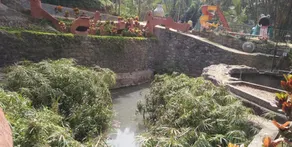 Wayanad Royal Stream - Image 5