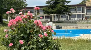 Каравана Никол Caravan Nikol - Image 4