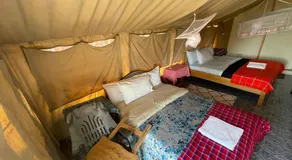 Treasure camp - Image 5