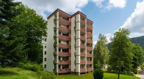 Wohlfühloase im Schwarzwald mit Panoramablick - Image 3