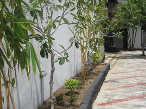 crescent resort - Image 4