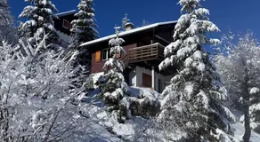 Apartment Chalet Horler direkt im Ski- und Wandergebiet by Interhome - Image 4