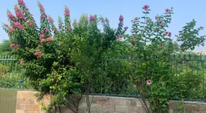 IT City Luxe Homestay-Secure & Comfortable Stay in Mohali - Image 3