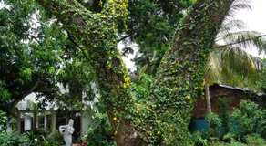 Saranga Holiday Inn - Image 5