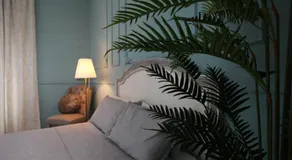 LE ZAGARE B&B - Ares - Image 5