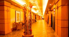 Kapok Hotel - Image 4