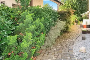 Homestay - Stilvolle Wohnung in Büdingen - Image 4