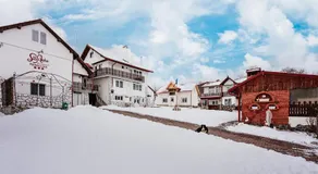 CASUTA CU FLORI - Image 4