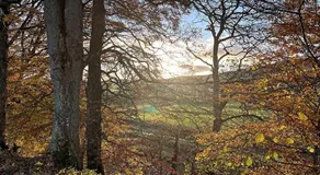 Alston Hostel - Image 5
