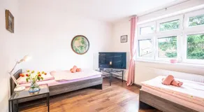 Vila Lumír - Image 2