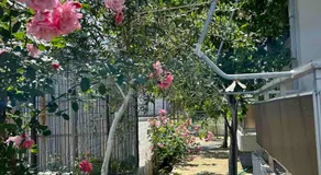 Villa Froso - Image 4