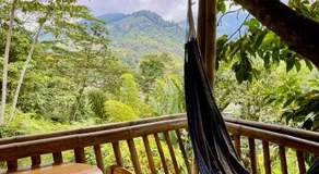 Casa Del Árbol Mirolindo Pijao Quindío - Image 3