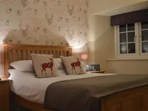 The Swan - Image 4