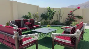 ذا ڤاين the vine - Image 5