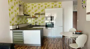 Brand new apartment. Parking spot included! - Image 5