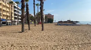 Apartment Del Mar La Mata 130M from Beach - Image 4