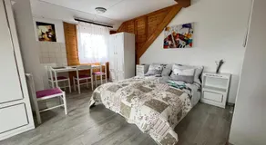 A Festő Vendégháza / The Painter's Guest House - Image 2