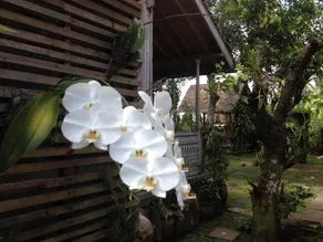 D'Tegale Homestay - Image 5