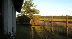 Chatki u Patki - Image 4