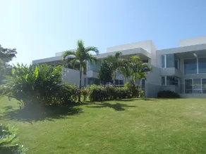 The Green Terrace - Image 5